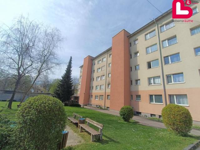 1 Schlafzimmer Wohnung Oberösterreich Oberösterreich 103615482