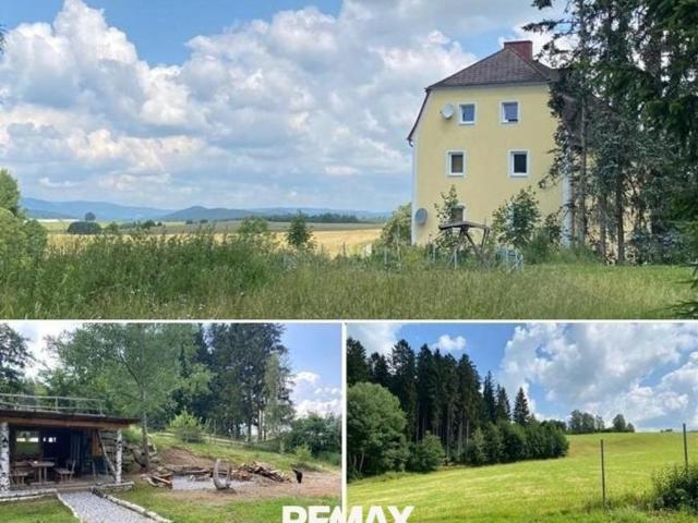1 Schlafzimmer Wohnung Oberösterreich Oberösterreich 105051358