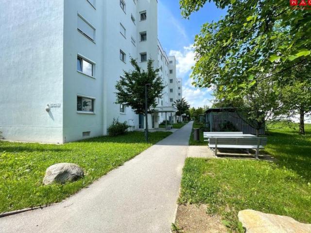 1 Schlafzimmer Wohnung Oberösterreich Oberösterreich 105311576