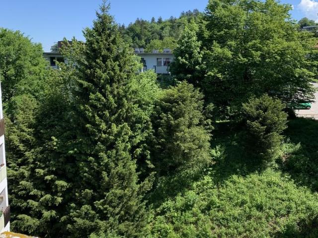 1 Schlafzimmer Wohnung Bad Reichenhall Deutschland 102309754