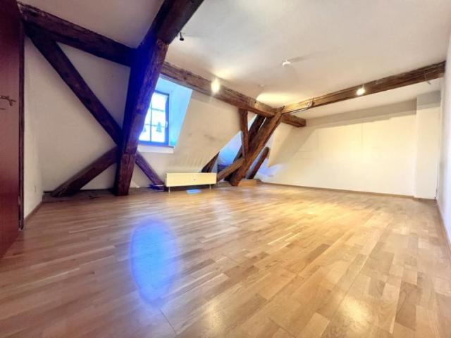 1 Schlafzimmer Wohnung Fürth Fürth 105704934