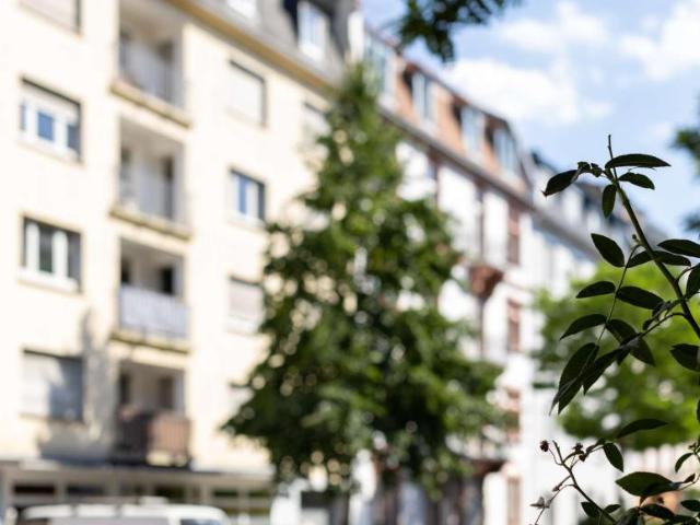 1 Schlafzimmer Wohnung Frankfurt Am Main Deutschland 103657115