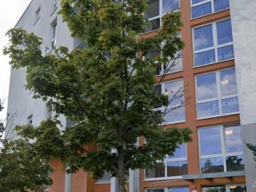 1 Schlafzimmer Wohnung Frankfurt Am Main Frankfurt Am Main 103095112