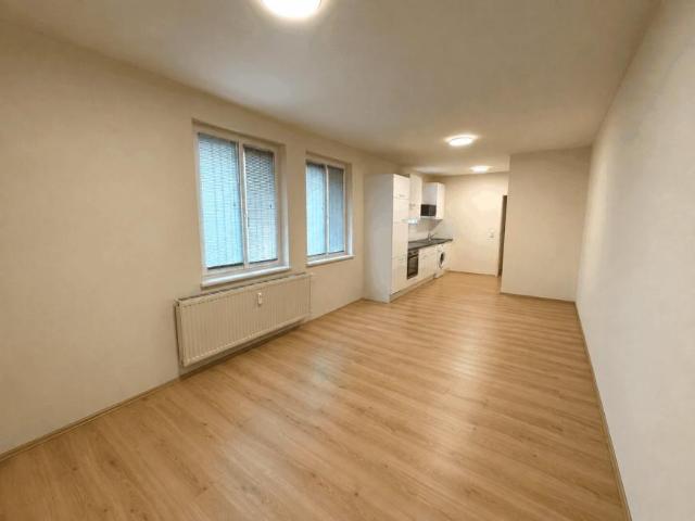1 Schlafzimmer Wohnung Hainfeld Hainfeld 104845961