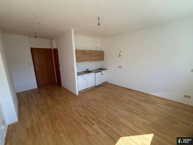1 Schlafzimmer Wohnung Kärnten Kärnten 105760226