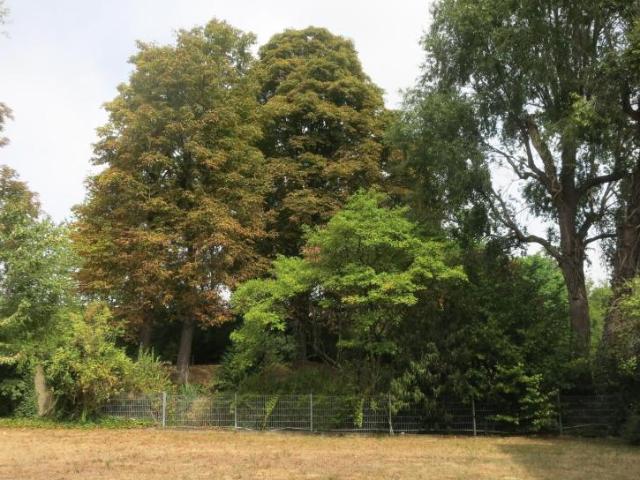 1 Schlafzimmer Wohnung Köln Deutschland 103244655