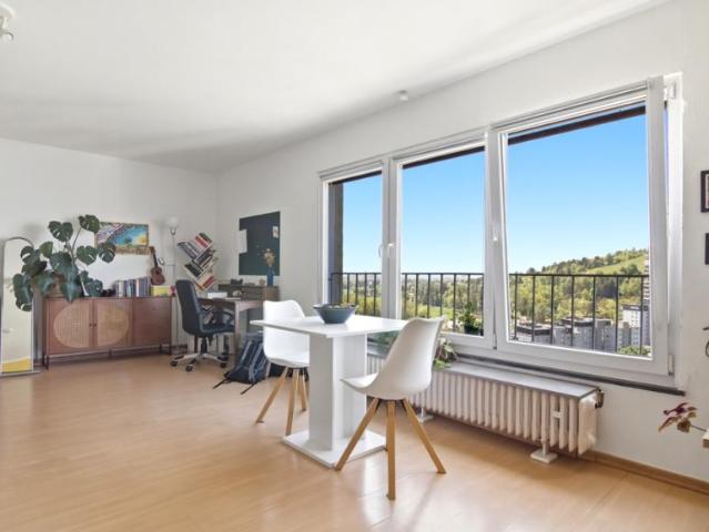 1 Schlafzimmer Wohnung Lörrach Deutschland 102309312