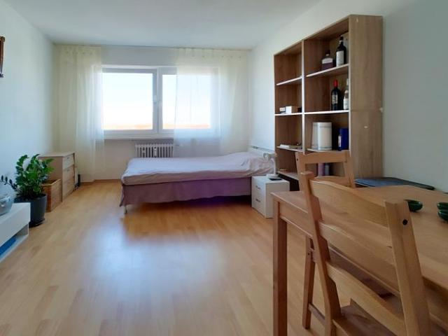 1 Schlafzimmer Wohnung Regensburg Deutschland LS91549001