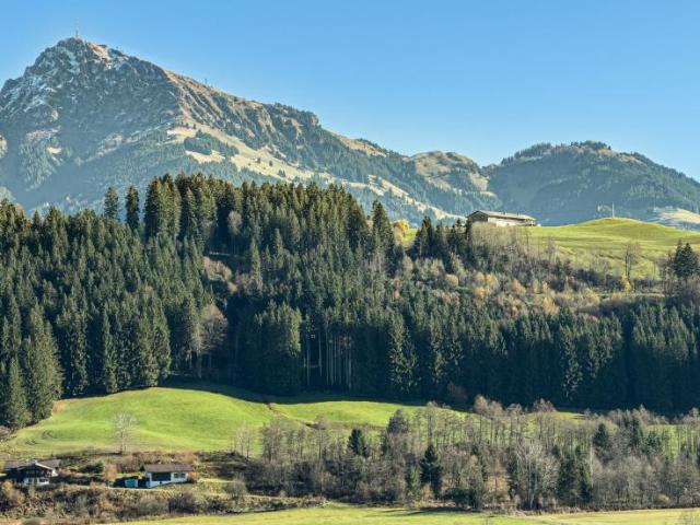 1 Schlafzimmer Wohnung Reith Bei Kitzbühel Reith Bei Kitzbühel 105085354