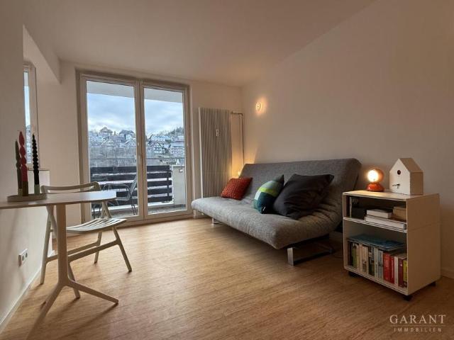 1 Schlafzimmer Wohnung St. Blasien Deutschland 101775776