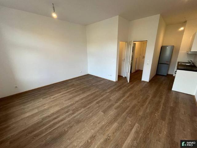 1 Schlafzimmer Wohnung Steiermark Steiermark 105862616