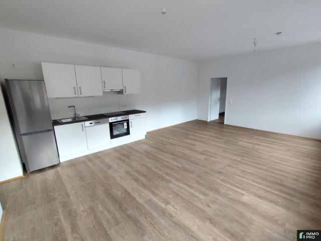 1 Schlafzimmer Wohnung Steiermark Steiermark 105038077
