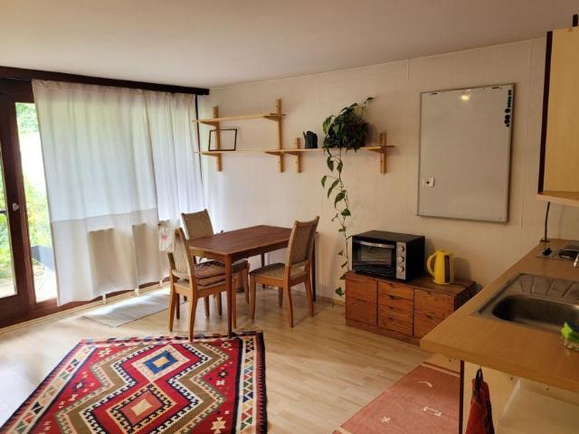 1 Schlafzimmer Wohnung Steiermark Steiermark 105137423
