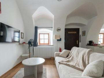 1 Schlafzimmer Wohnung Steyr Steyr 101988566