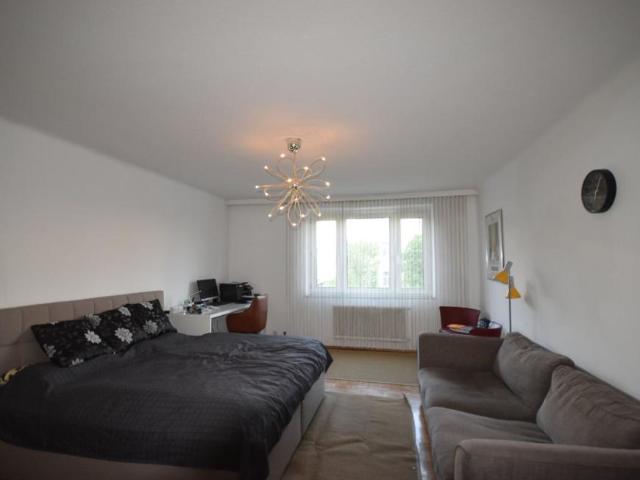 1 Schlafzimmer Wohnung Salzburg Salzburg 105050947