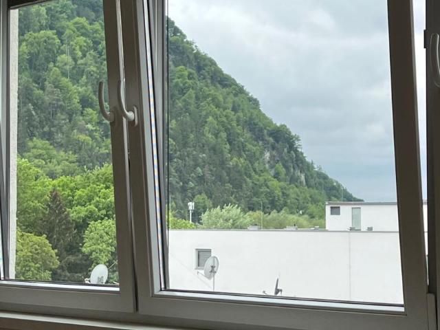1 Schlafzimmer Wohnung Salzburg Salzburg 105271281