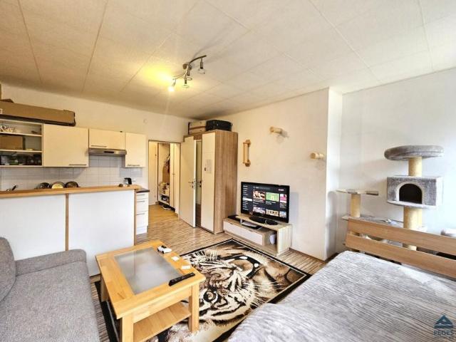 1 Schlafzimmer Wohnung Salzburg Salzburg 106007700