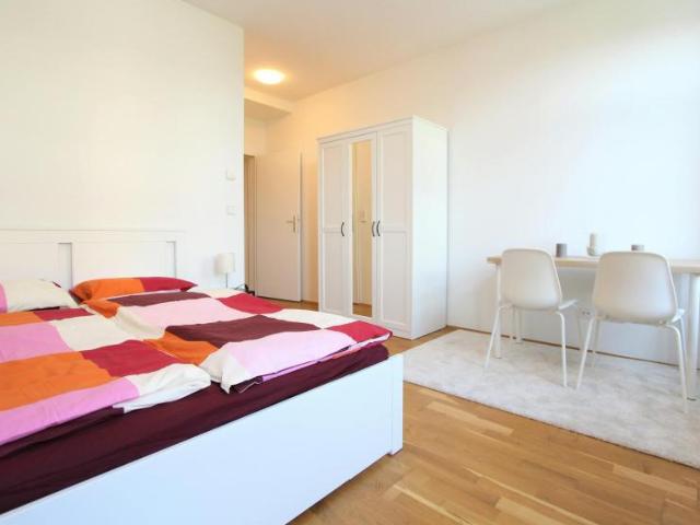 1 Schlafzimmer Wohnung Vienna Vienna 104754985