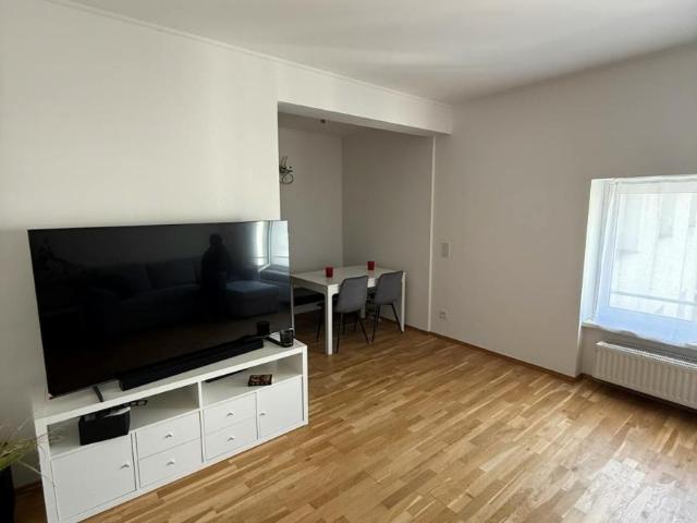 1 Schlafzimmer Wohnung Vienna Vienna 102145349