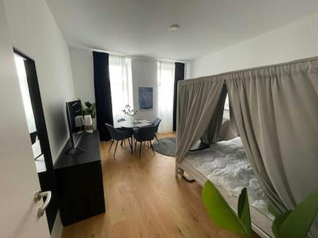 1 Schlafzimmer Wohnung Vienna Vienna 88845632