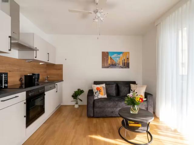 1 Schlafzimmer Wohnung Vienna Vienna 96304518