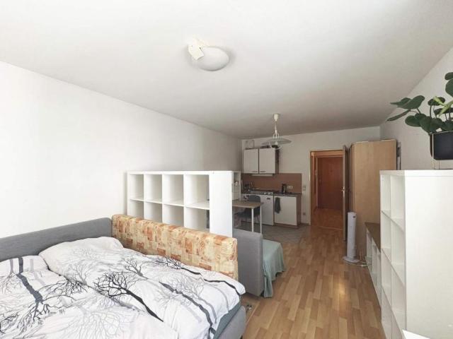 1 Schlafzimmer Wohnung Wien Wien 103924248