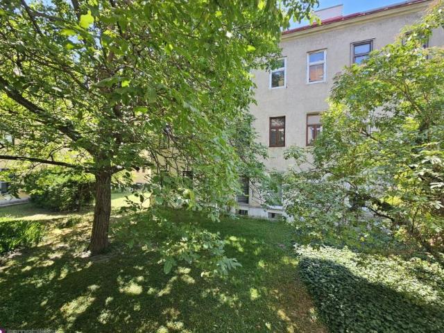 1 Schlafzimmer Wohnung Wien Wien 104642653