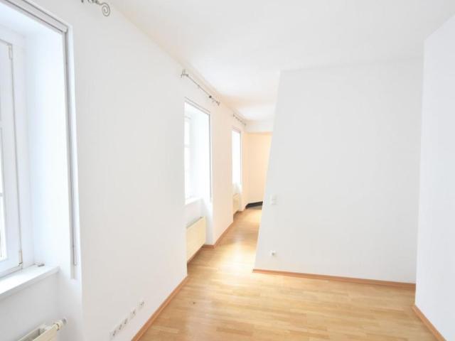 1 Schlafzimmer Wohnung Wien Wien 105760706