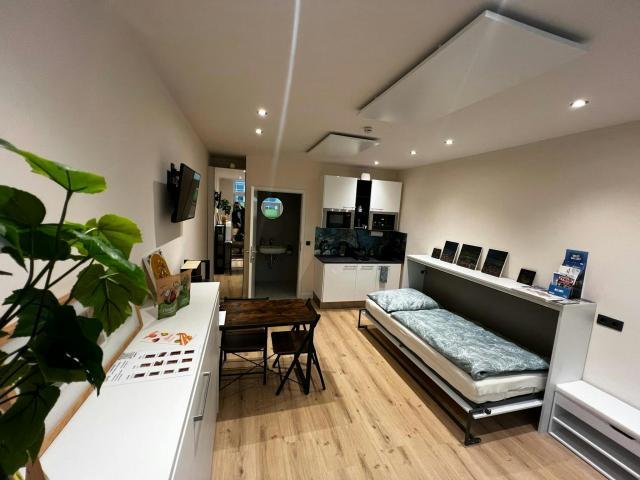 1 Schlafzimmer Wohnung Wiener Neustadt Wiener Neustadt 87474410