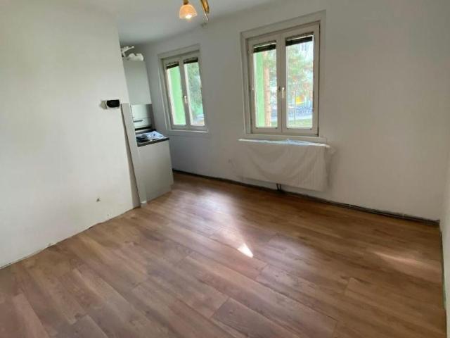 1 Schlafzimmer Wohnung Wiener Neustadt Wiener Neustadt 94993027