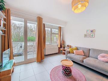 2640, Arrondissement de Anvers, Province de Anvers, Flandre