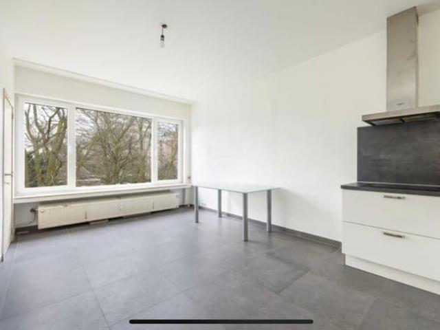 1 slaapkamer studio nabij het Koning Albertpark