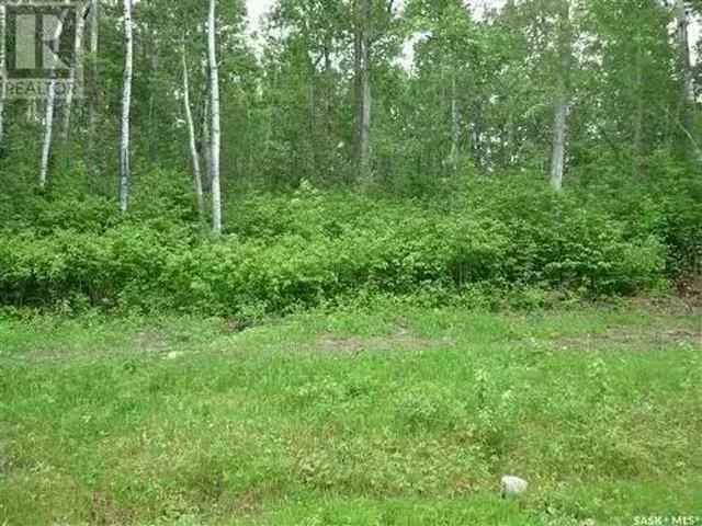 1 Smits Avenue, Codette, SK, S0E 0P0 vacant land for sale L.