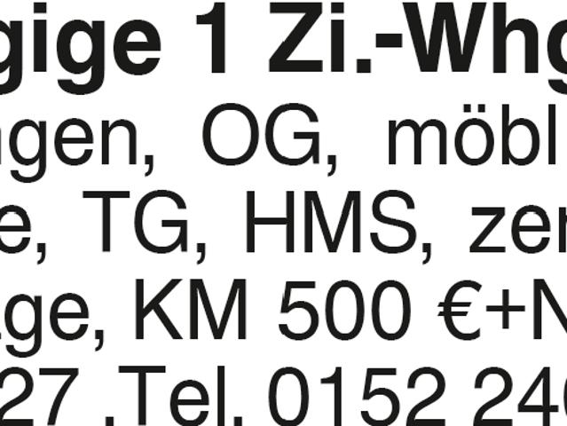 1.Zi. Whg. Uhingen