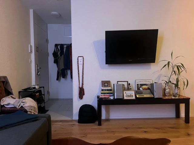 1 ZI WOHNUNG IN ZÜRICH KREIS 9 ALBISRIEDEN, MÖBLIERT, TEMPORÄR