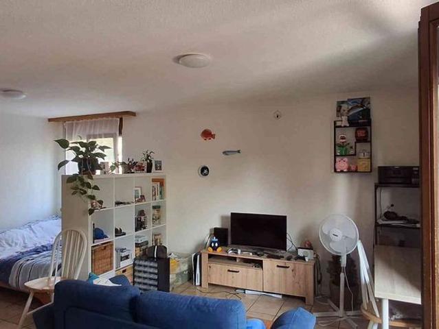 1 Zimmer, 40 m², EG