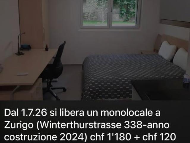 1 Zimmer, 40 m²