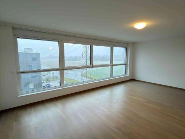 1 Zimmer, 42 m²