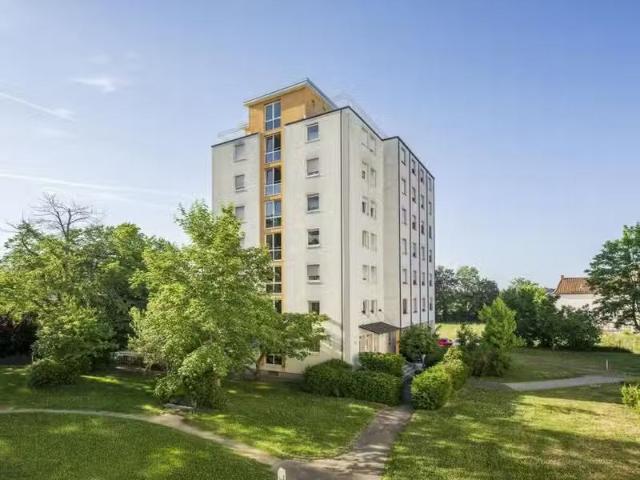 1 Zimmer 44 m² 429 € Kaltmiete Wohnungen in Kandel