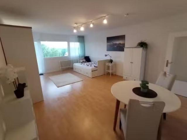 1 Zimmer 44 m² 810 € Kaltmiete Wohnungen in Frankenthal
