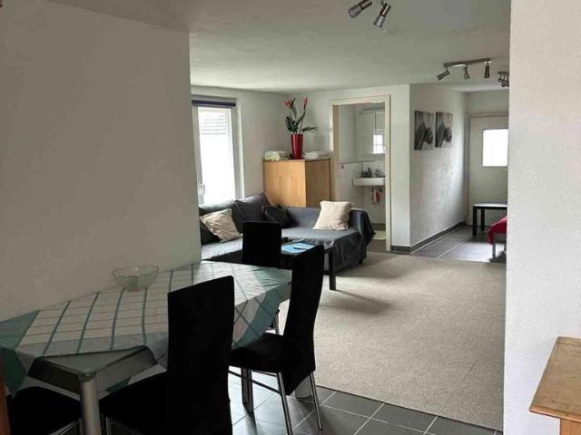 1 Zimmer, 45 m², EG
