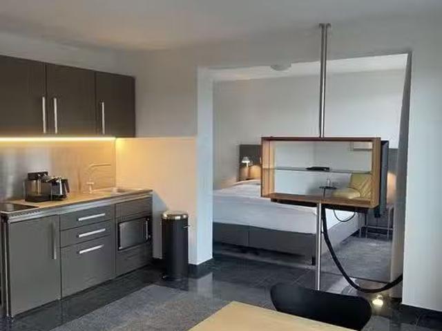 1 Zimmer 45 m² 545 € Kaltmiete Wohnungen in Ludwigshafen