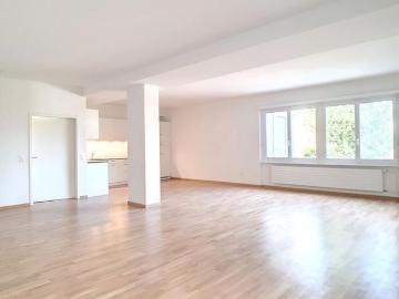 Schlieren, Bezirk Dietikon, Kanton Zürich