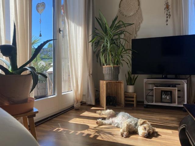 1 Zimmer, 80 m², 3. Stock