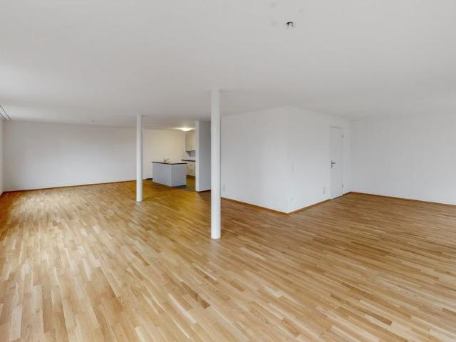 1 Zimmer, 95 m², 1. Stock
