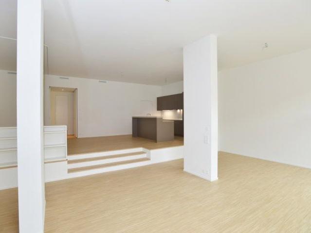 1 Zimmer, 115 m², EG