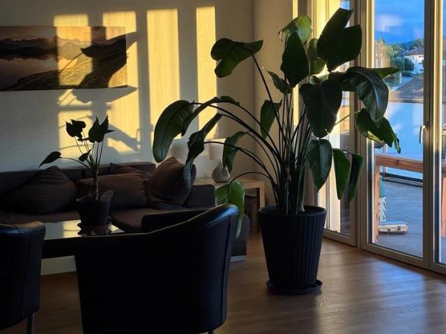 1 Zimmer, 17 m², 2. Stock