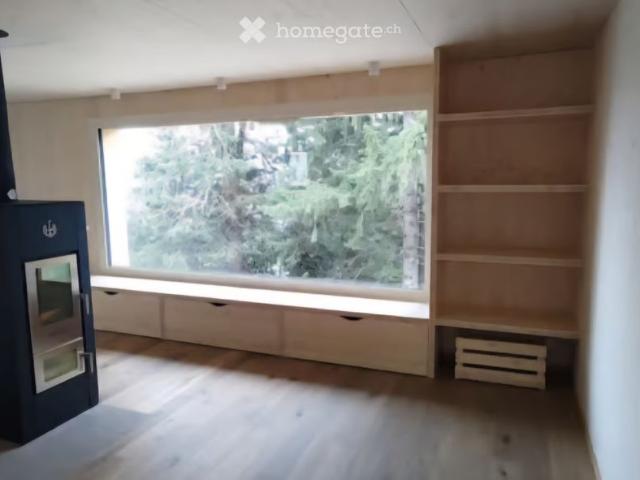 1 Zimmer, 17 m²