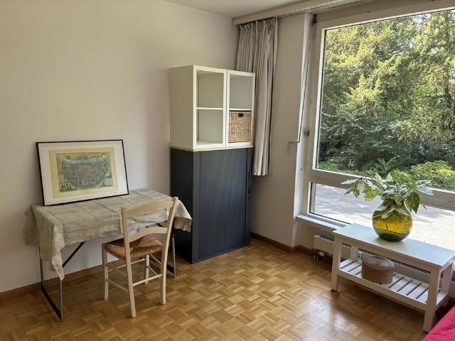 1 Zimmer, 14 m²
