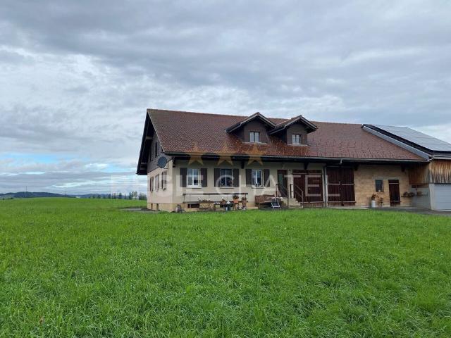 1 Zimmer, 160 m², EG